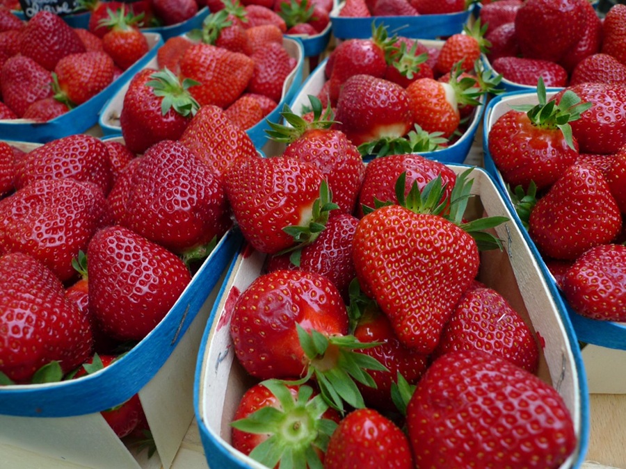French strawberries in local markets